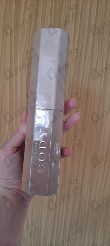 burberry body intense